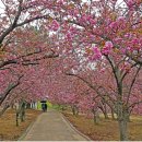 경주숲 3,4 이미지