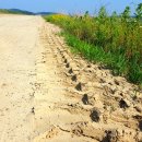 쉴만한강가 이미지