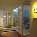 캣틀리에 이미지