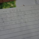 와리경로당 Daum카페