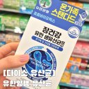 유한양행 | 다이소 유산균 5,000원 실화? 유한양행 유산균 직접 먹어본 후기