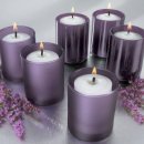 플릇사랑 이미지