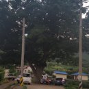 성산리마을회관 이미지