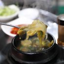 황소실비 이미지