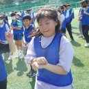 부천초등학교 이미지