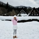 고고트래블 | 나고야 7박8일 시라카와고 히다 다카야마 당일치기 버스투어 추천 인디고트래블 내돈내산 솔직후기