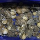 무성농장 이미지