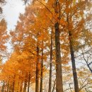 멋진 옷(양재) 이미지