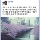 승희미용실 - 군산시 소룡안3길 24 | 승희미용실