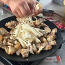 삼오민박 이미지