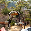 메이플랜드펜션 이미지