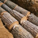 서원농장 이미지