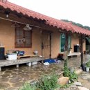 정희네 들꽃이야기 이미지