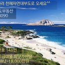대부도공인중개사사무소 Daum카페