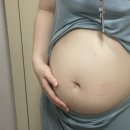 (주)한결그린 이미지