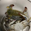 선녀바위-선착장 이미지