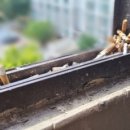 분당분당-A-21 이미지