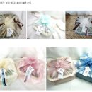 다담과일 이미지