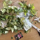 중사지농장 이미지