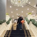 평창 게스트하우스 | 평창 켄싱턴 호텔 아기랑 1편 프리미어 온돌 객실부터 조식 후기