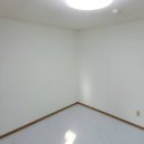 우림필유 이미지