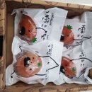 GS25 증평삼보점 이미지