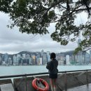 강아지가정부 | 3월 3박 4일 홍콩여행 (上)