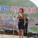 칠갑산산꽃마을 이미지