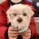 키다리동물병원 이미지