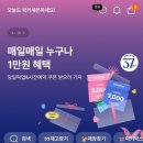 빵마 이미지