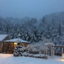 포레스트밸리 이미지