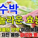 수박 많이 먹으면 살찌나요 당뇨와 부작용 이미지