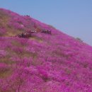 2018년 4월 6일(금) 창원 천주산 진달래 산행 8시 이미지