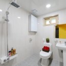 가평금잔디 이미지