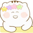 덴트베스트칼라