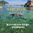 용화 | 삼척 용화해수욕장 스노쿨링 후기 장호항 근처 취사 주차 파라솔 정보