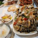 애견포차 이미지