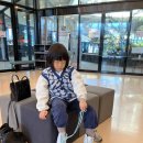 제주시 롤러장 씽씽씽 후기 피커스 제주 아이와 가볼만한 곳 이색 데이트