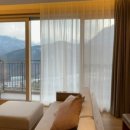 로카와 델피노2 이미지