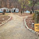 나무와중학교 이미지