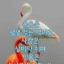 일심 이미지