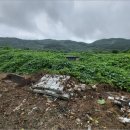 칠갑산도림휴게소캠핑장 이미지