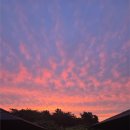 평평스테이 이미지