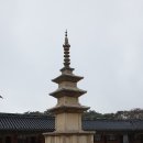 경주관