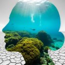 유영하는 언어-2 이미지