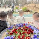 상록수어린이집 - 달서구 | 상록수어린이집