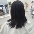 일랑 이미지
