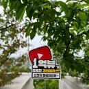 SLY | “이단이라 했지만 와보니 달랐다”… 신천지 말씀대성회 목회자 생생 후기
