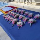 대곡농업협동조합 이미지