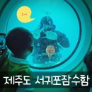 제주 서귀포 잠수함 솔직 후기! 아이와 함께 바닷속 탐험 (가격, 예약, 꿀팁 총정리)